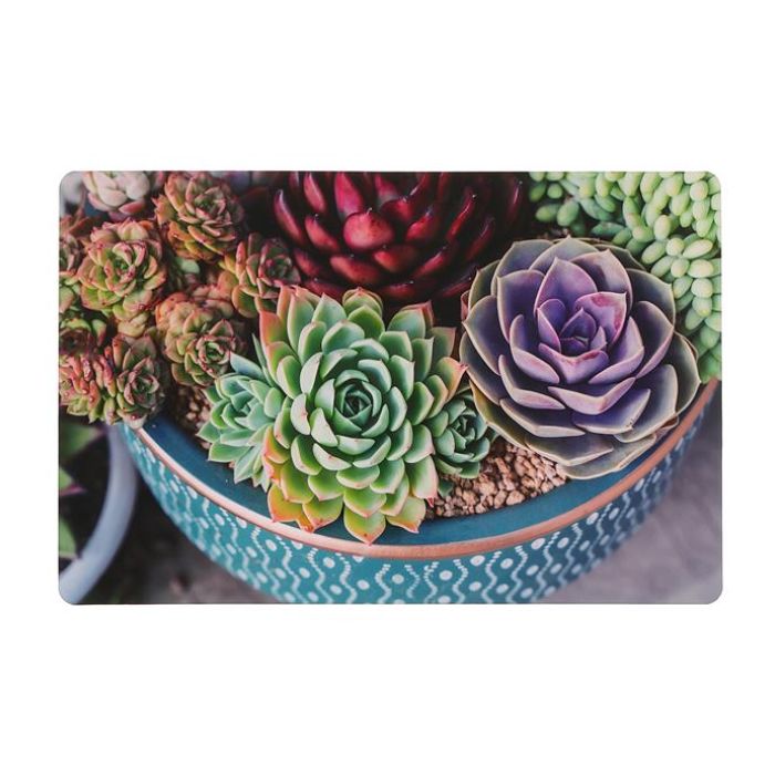 Napperon 11 po x 17 po en plastique succulentes en pot