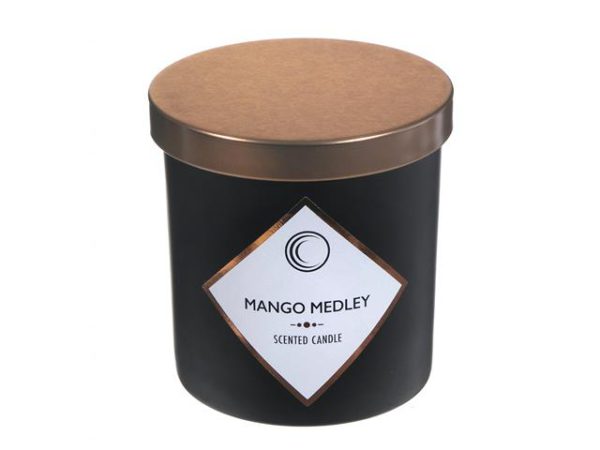 Chandelle parfumée en pot 3 po x 4 po mango medley