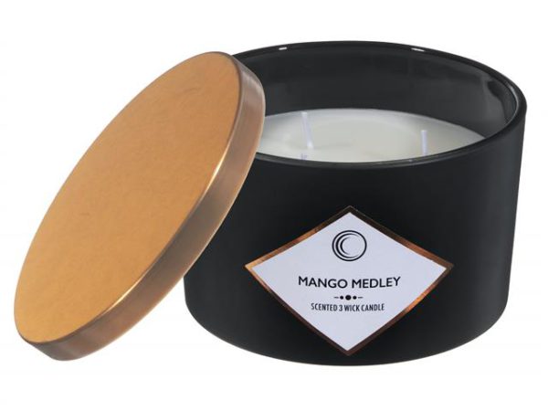 Chandelle parfumée en pot 4 po x 3,5 po mango medley