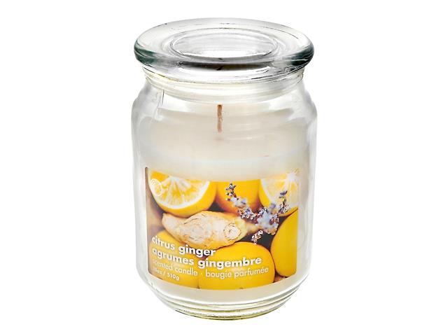Chandelle pot en vitre 18 oz citron gingembre