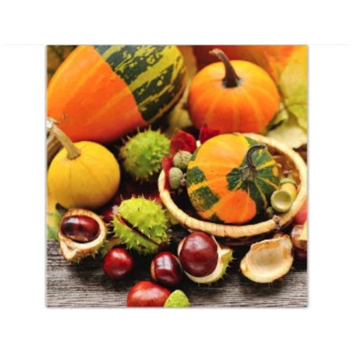 Serviette de table en papier Citrouilles et marron (paquet de 20)