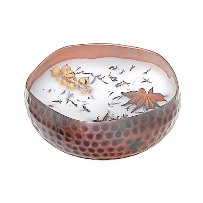 Chandelle au soya parfumée avec 2 mèches dans pot en métal 5,29 oz Prune rose barossa