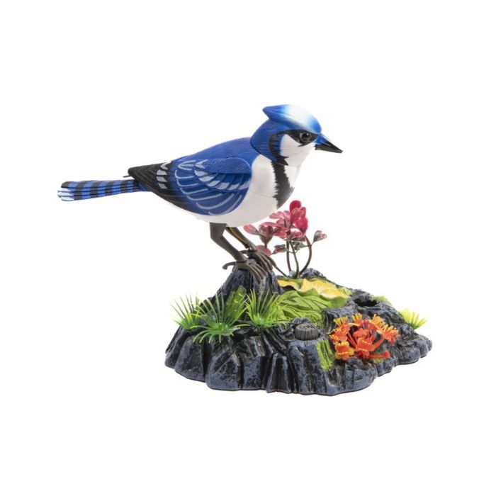 Oiseau activé par la voix 5,5 po x 6,3 po x 5 po Geai bleu