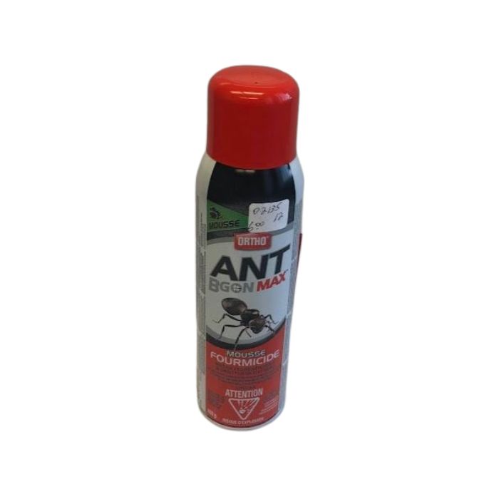 Mousse anti-fourmis