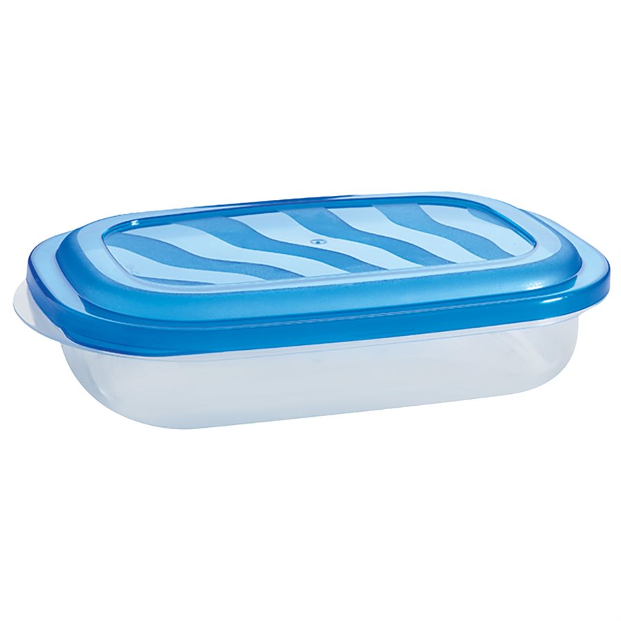 Plat rectangle en plastique 22 oz Eraware bleu