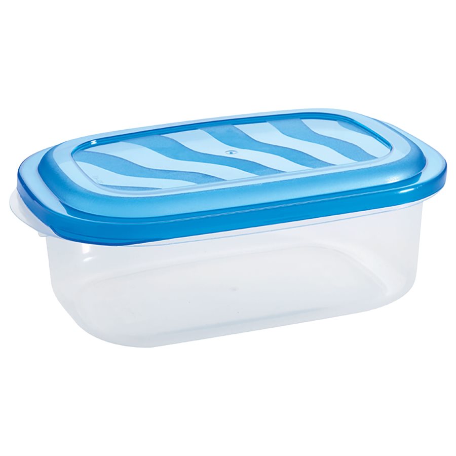 Plat rectangle en plastique 43 oz Eraware bleu
