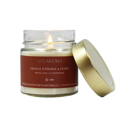 Chandelle en pot 7 oz Velaroma feuille d'érable et cèdre