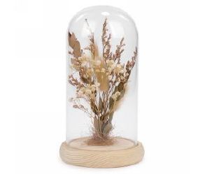 Graminée naturelle sous une cloche verre