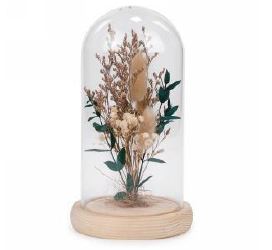 Graminée et feuilles vertes sous une cloche de verre