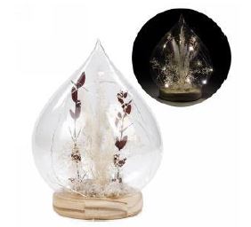 Graminée et feuilles bourgognes  illuminées sous une cloche de verre