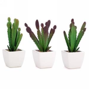 Plante cactus artificielle 3 po x 8 po dans un pot blanc