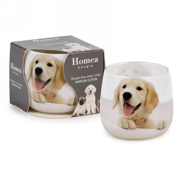 Chandelle parfumée pot en verre Chien 3 po x 3 po Coton anti-odeur