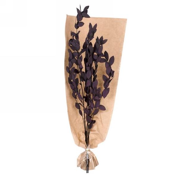 Tige 20 po feuillage aubergine