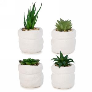 Plante succulente artificielle dans un pot blanc 3 po x 4 po