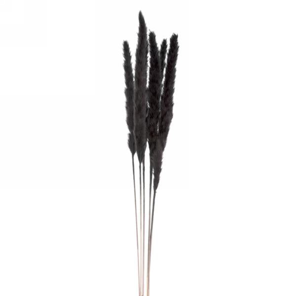 Tige 35 po plume artificielle (paquet de 6)