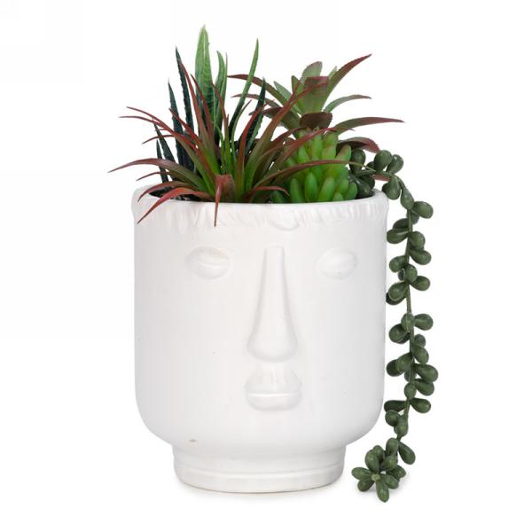 Plante succulente artificielle 5,5 po x 9 po dans un pot visage