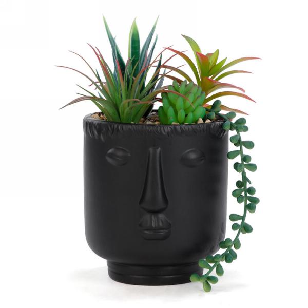 Plante succulente artificielle 5,5 po x 9 po dans un pot visage