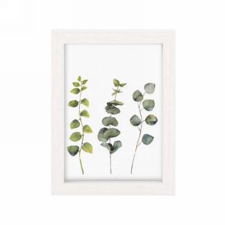 Cadre photo 5 po x 7 po feuillage vert