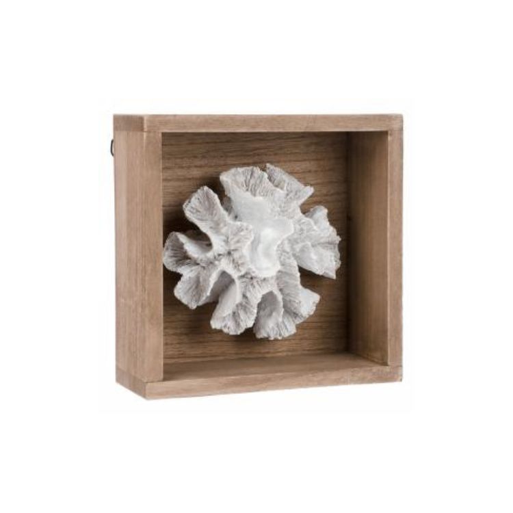 Boîte en bois avec un corail blanc 8 po x 3 po x 8 po
