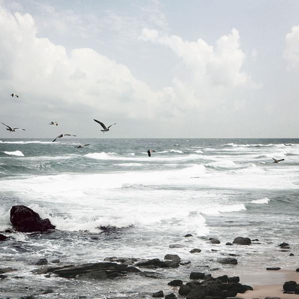 Tableau 32 po x 32 po bord de mer