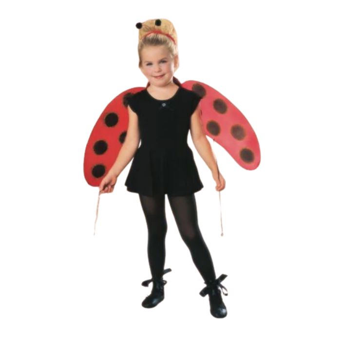 Ailes de coccinelle pour enfant
