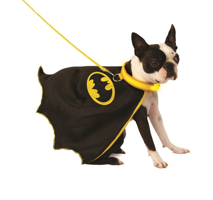 Costume chien cape Batman et collier illuminé