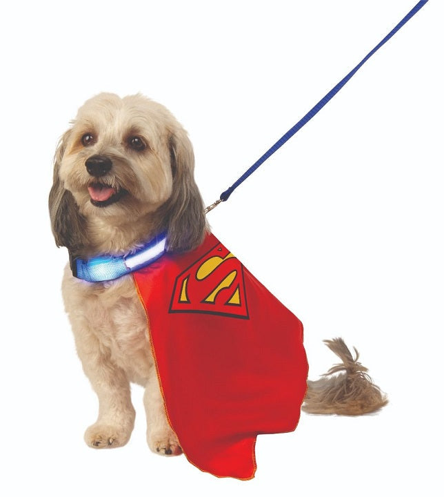 Costume chien cape Superman et collier illuminé