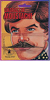 Moustache de bandit