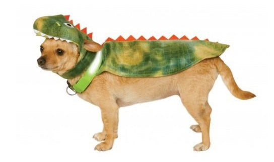 Costume chien cape dinosaure et collier illuminé