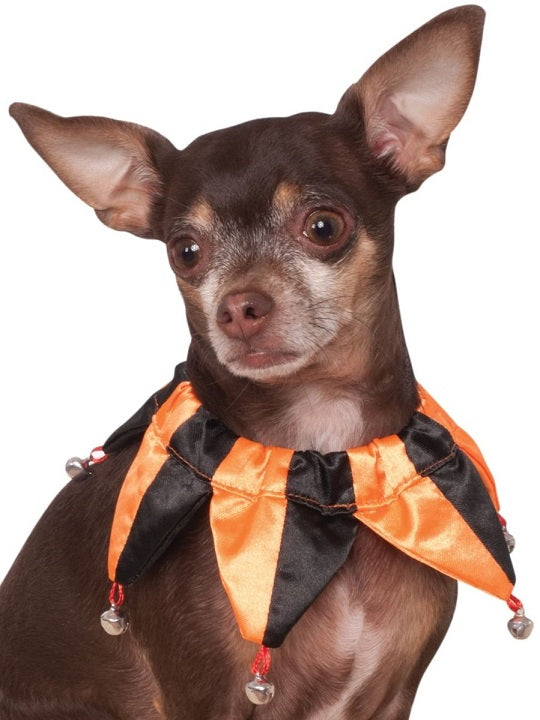 Costume chien jester orange et noir (M/L)