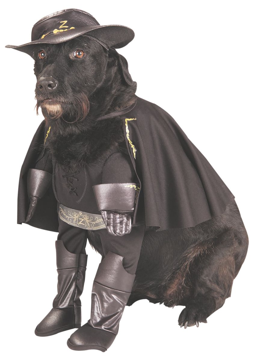 Costume chien Zorro (S)