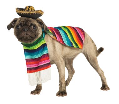 Costume chien poncho mexicain