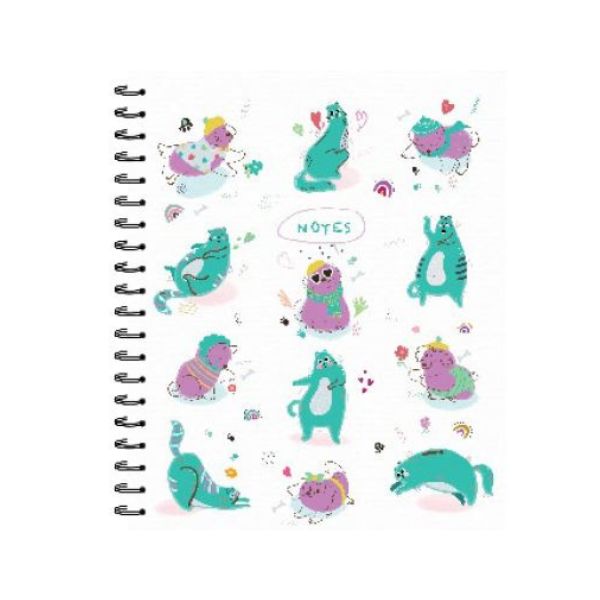 Cahier de notes spirale 10,5 po x 9 po 160 pages (80 pages) Hilroy chats amusants