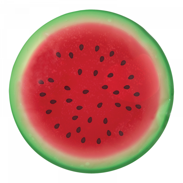 Bloc réfrigérant 15 cm x 15 cm melon d'eau (paquet de 2)