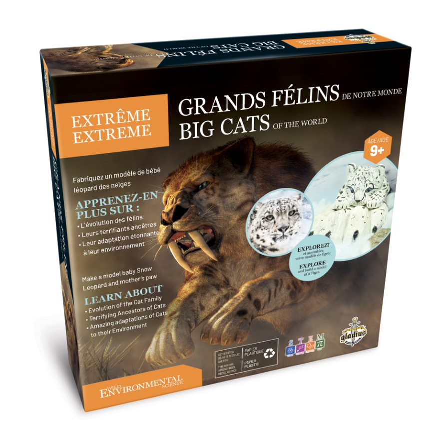 Science félins extrêmes (9 ans et plus)