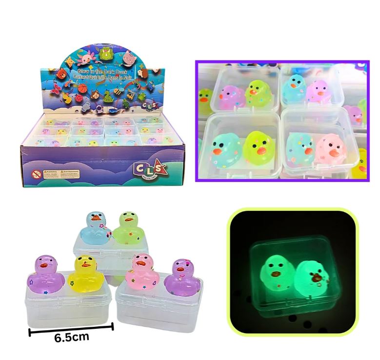 Canard en gel lumineux (Paquet de 2)