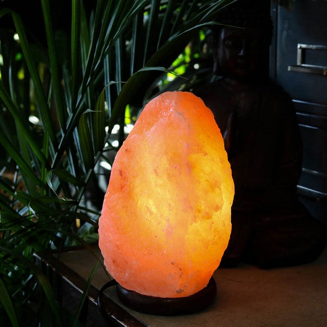 Lampe de sel électrique 3 à 4,5 lbs naturel