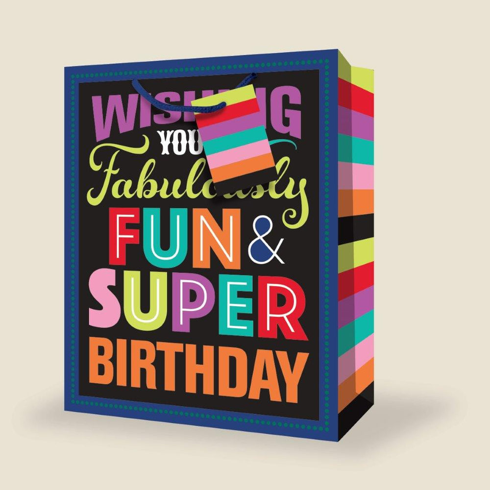 Sac cadeau grand 10 po x 13 po Fun and super birthday