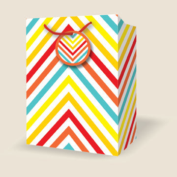 Sac cadeau moyen 7 po x 9 po lignes colorées