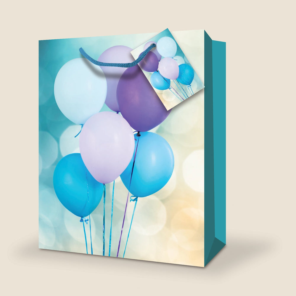 Sac cadeau moyen 7 po x 9 po ballons