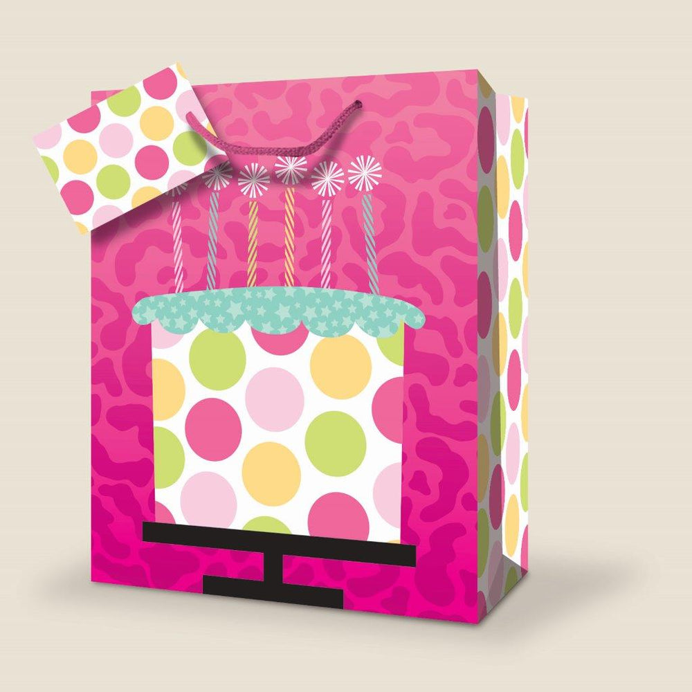 Sac cadeau grand 10 po x 13 po gâteau