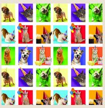 Papier d'emballage 30 po x 96 po chiens et chats fête