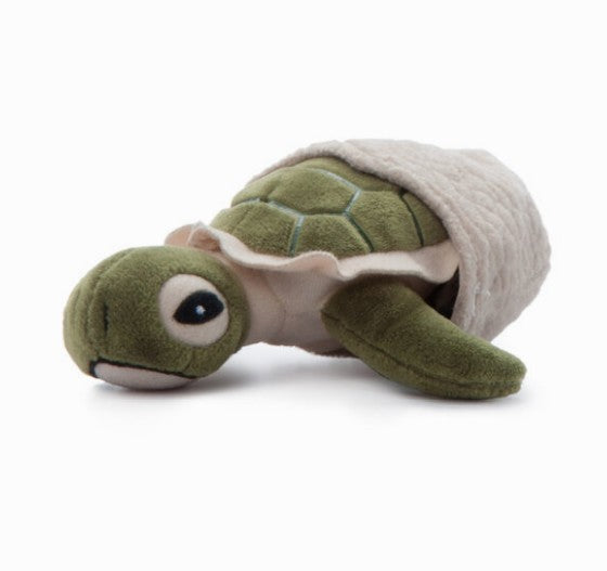 Peluche 5 po bébé tortue de mer avec coquille