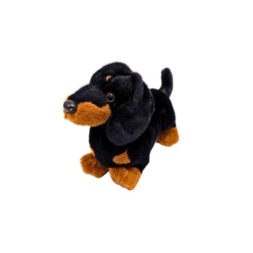 Peluche 13 chien teckel