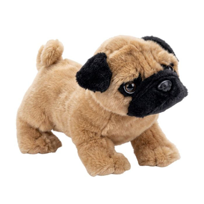 Peluche 11 po chien carlin