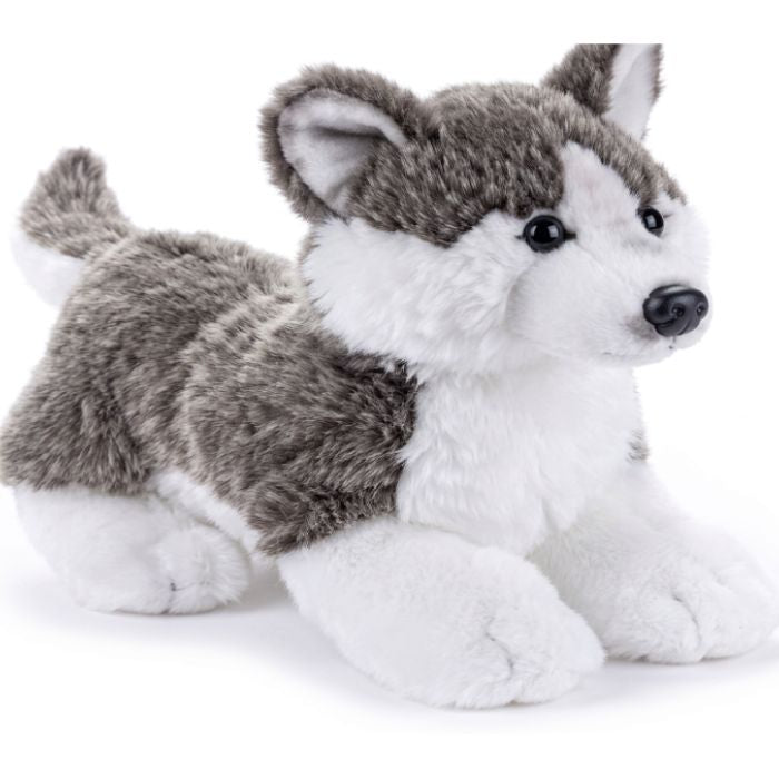 Peluche 11 po chien husky