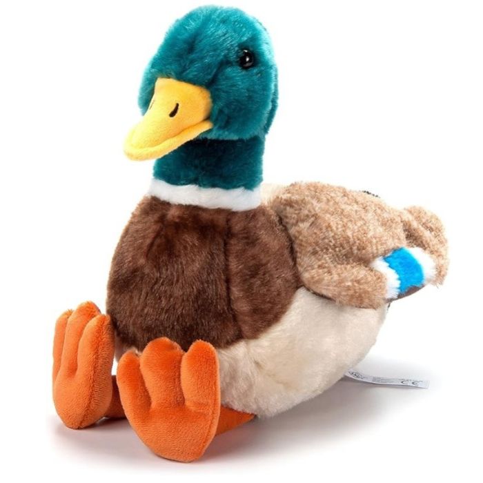 Peluche 12 po canard colvert