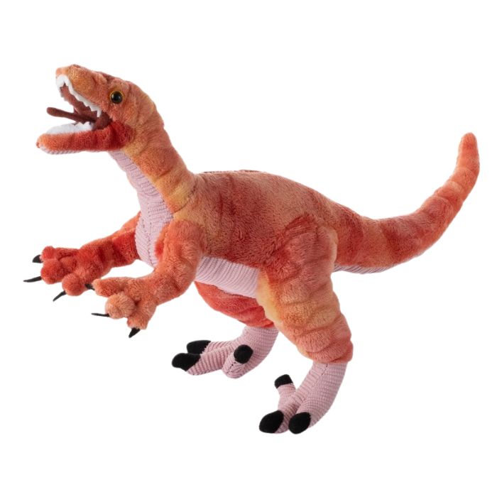Peluche 15 po dinosaure Vélociraptor
