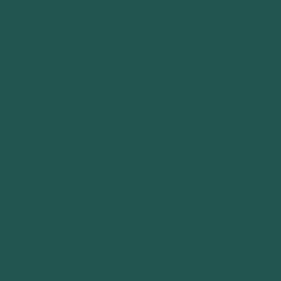 Nappe en polyester Chive unie vert foncé