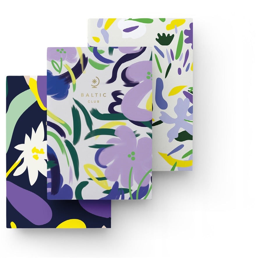 Ensemble de 3 carnets 3,75 po x 5,5 po 88 pages (44 feuilles) Rêverie
